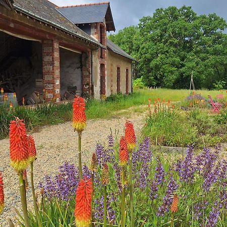 Ecolodges De Loire & Spa Gennes-Val-de-Loire Bagian luar foto