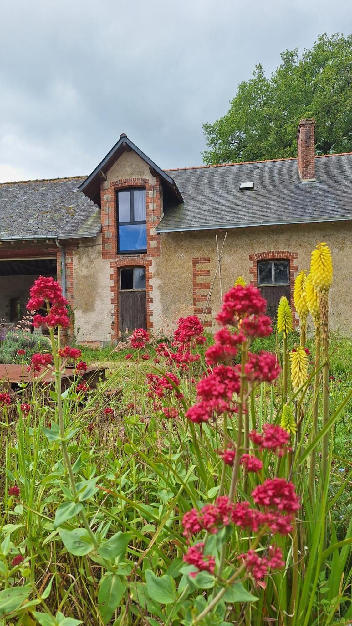 Ecolodges De Loire & Spa Gennes-Val-de-Loire Bagian luar foto