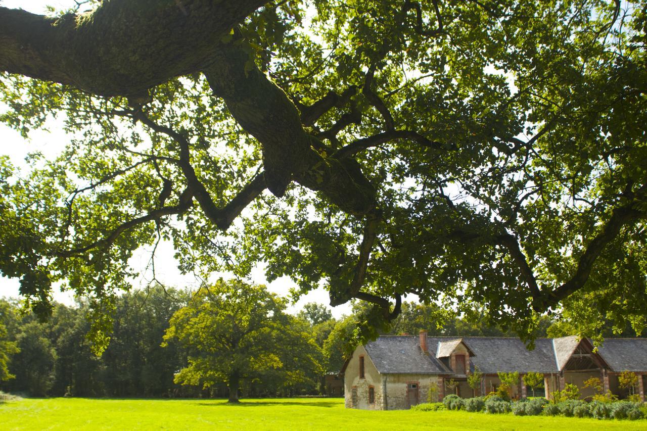 Ecolodges De Loire & Spa Gennes-Val-de-Loire Bagian luar foto